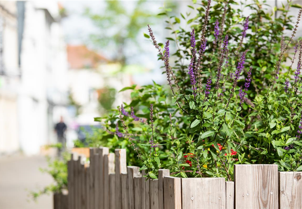 Urban Gardening – selbst in der Stadt ist Platz zum Gärtnern