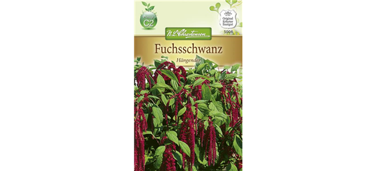 Garten-Fuchsschwanz-Samen