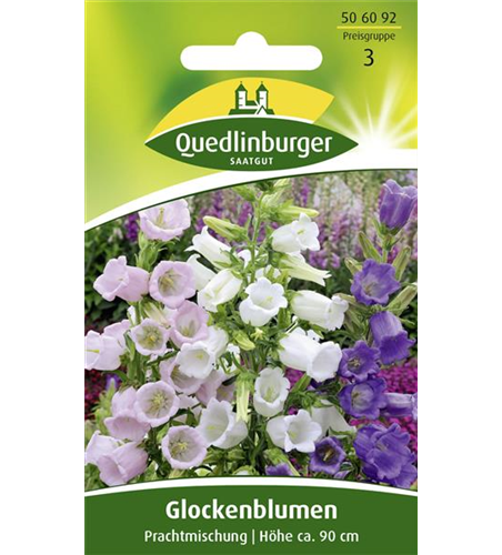 100 Pfl Glockenblume Campanula medium Samen Saatgut Qualität Bauerngarten ca 