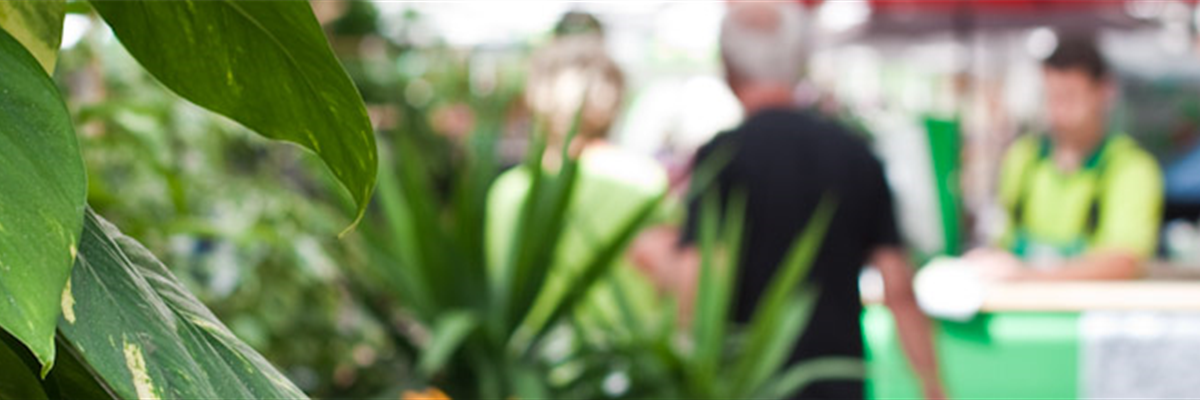 Service Fiedlers Garten & Hobbyland