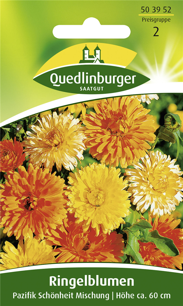 Ringelblumen Orangestrahlen Quedlinburger 