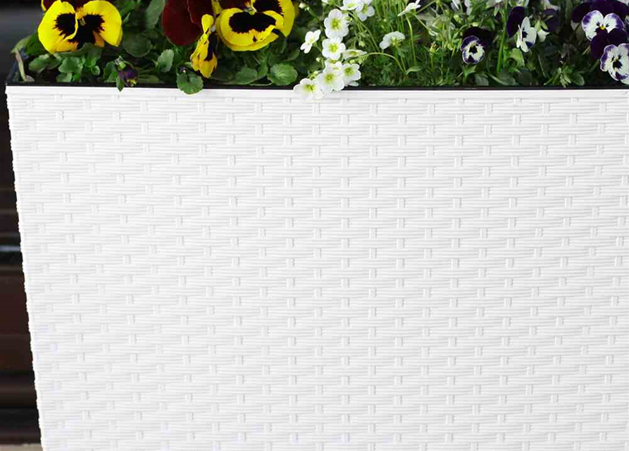 Siena Garden Pflanzkasten Segfe, eckig, 56x19x36,5 cm Rattanoptik in weiß Kunststoff