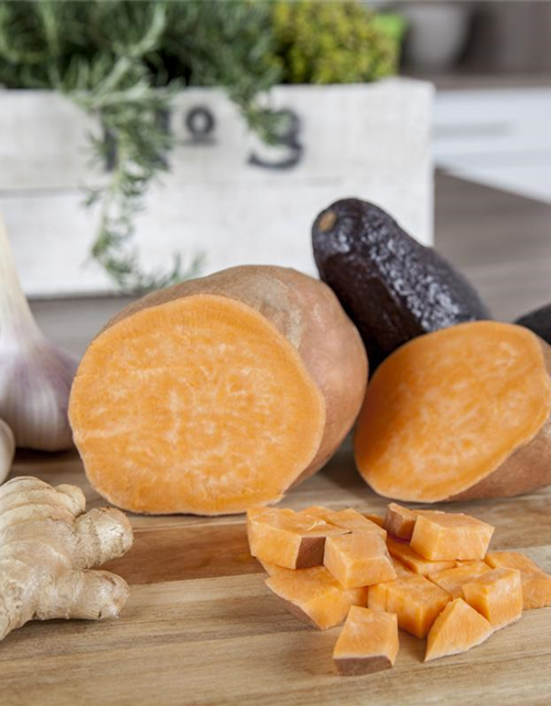 Süßkartoffel 'Erato'® Orange
