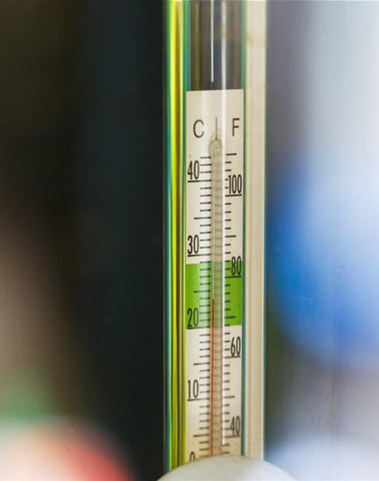 Garten-Thermometer