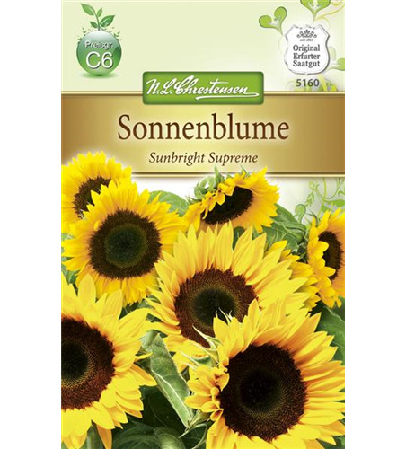 Sonnenblumensamen 'Sunbright'