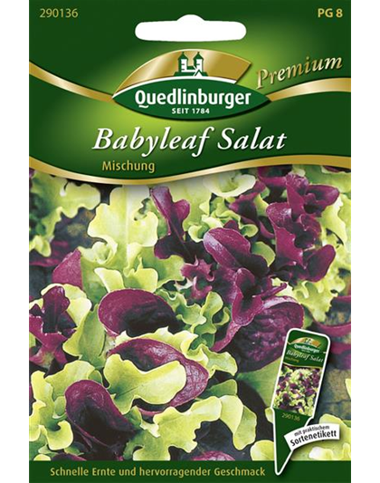Babyleaf-Salat-Samen