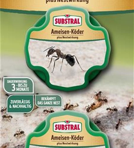 Substral Ameisen-Köder Plus Nestwirkung