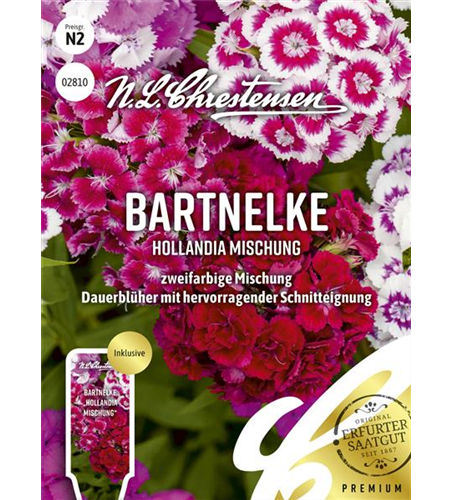 Bartnelkensamen 'Hollandia Mix'