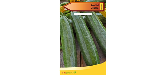 Zucchini 'Zuboda'