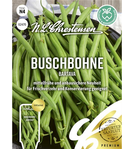 var Bohnen Topf-Busch- Amethyst Phaseolus vulgaris L nanus QLB Premium Saatgut Bohnen 