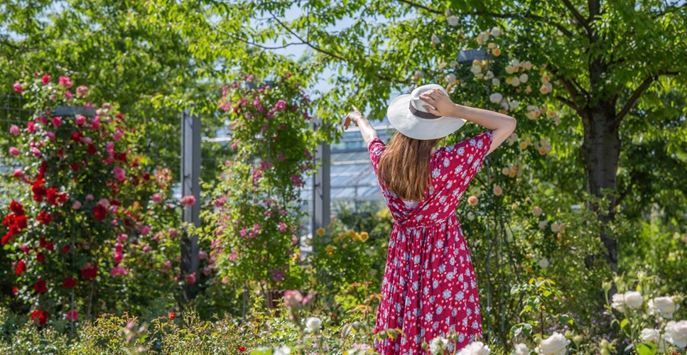 Fiedlers Garten & Hobbyland aus Gera