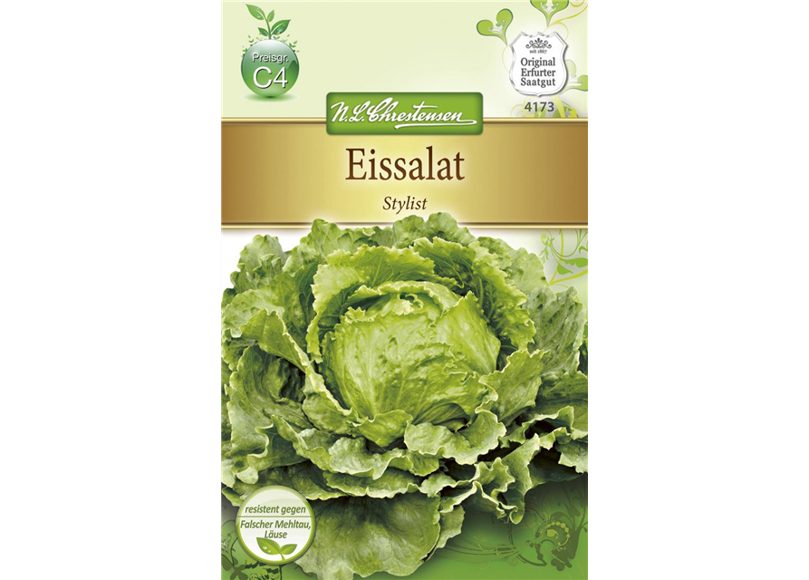 Lactuca sativa Salat Eissalat 'Stylist' 60 Samen 4173 ca 