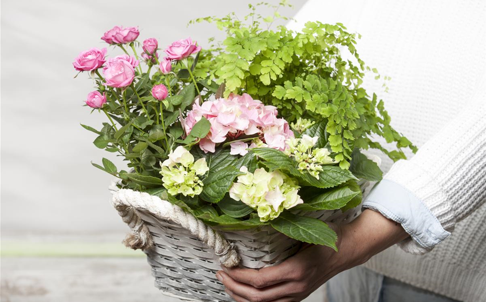 Online - Gutschein - Gutschein selbst gestalten Online - Gutschein - Gutschein selbst gestalten