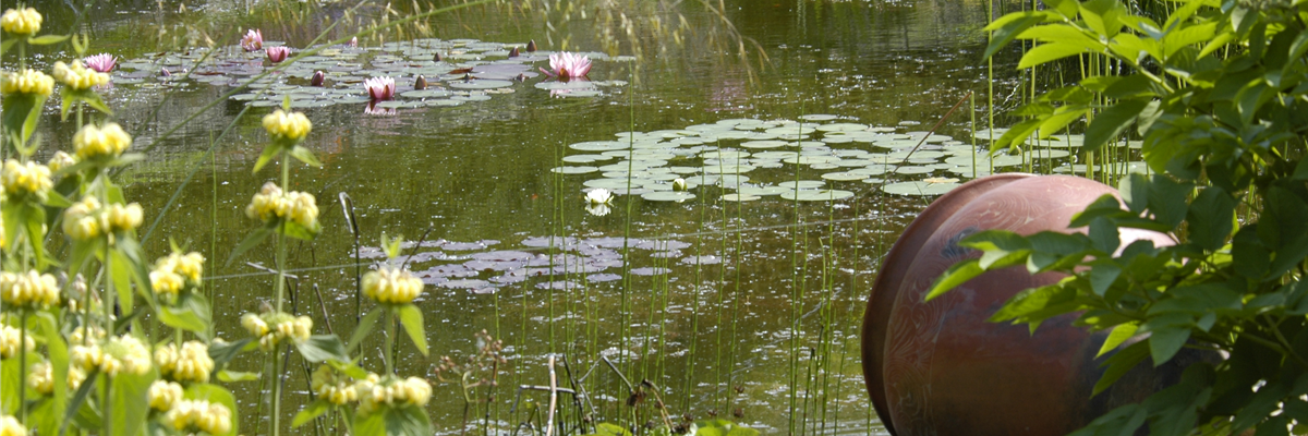 Teich mit Seerosen