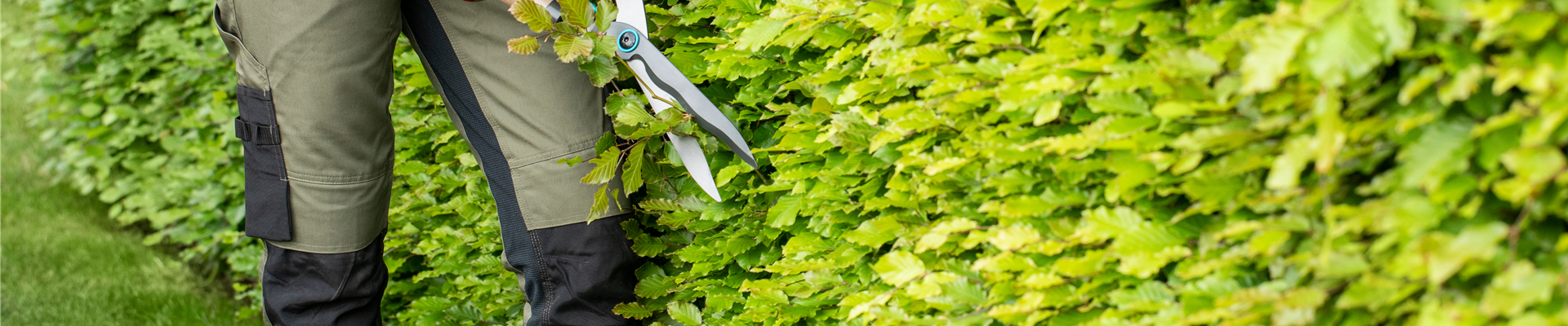 Dekorativ und praktisch zugleich: Die Hecke als Sichtschutz 