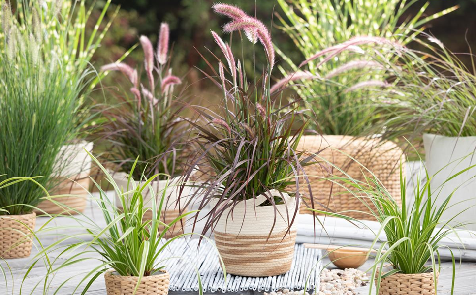 Aussen - Pflanzegefäße für den Garten! Aussen - Pflanzegefäße für den Garten!
