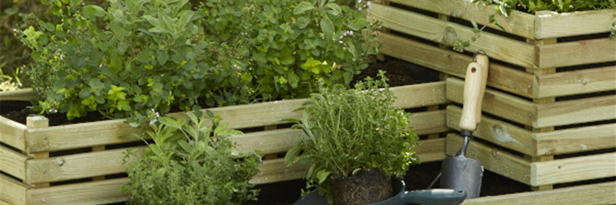 HOCH, HöHER, HOCHBEET!