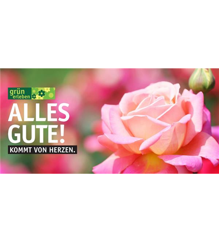 Versand-Gutschein