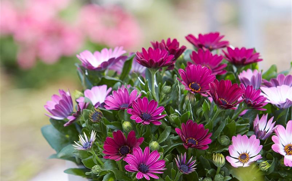 Saisonerlebnis - Ideen für drinnen und draußen Saisonerlebnis - Ideen für drinnen und draußen