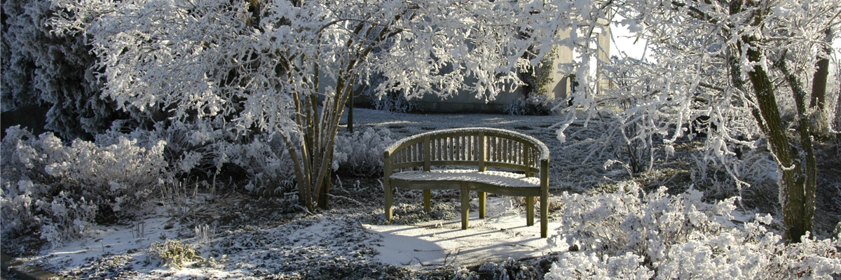Sitzbank im Winter