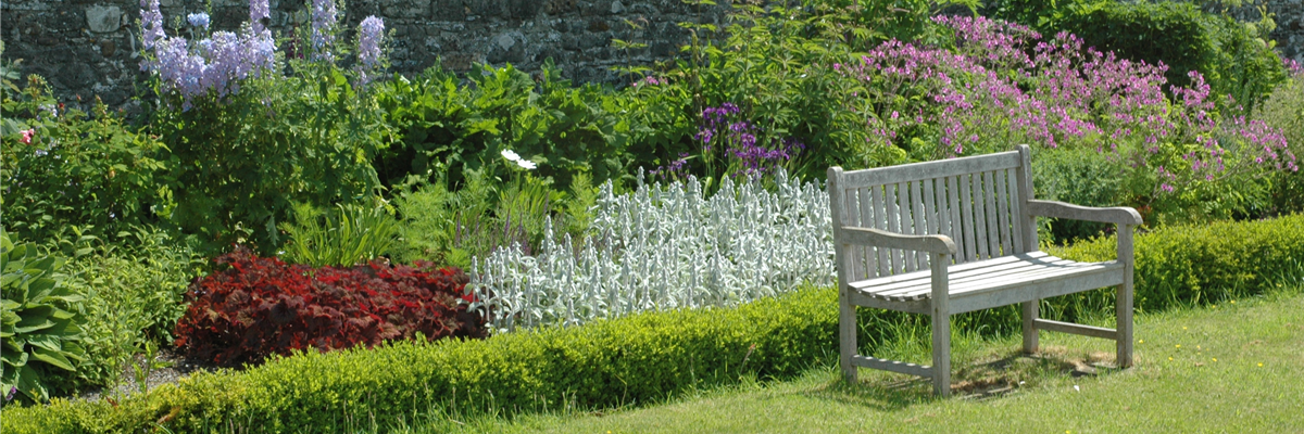 Staudenpflege im Sommer – So bleibt alles schön bunt