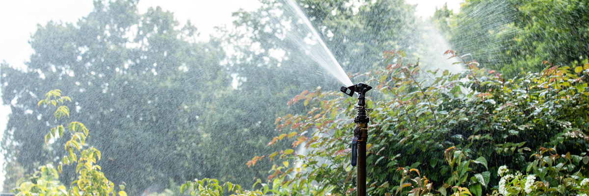 Praxiserprobte Tipps für eine nachhaltige Bewässerung