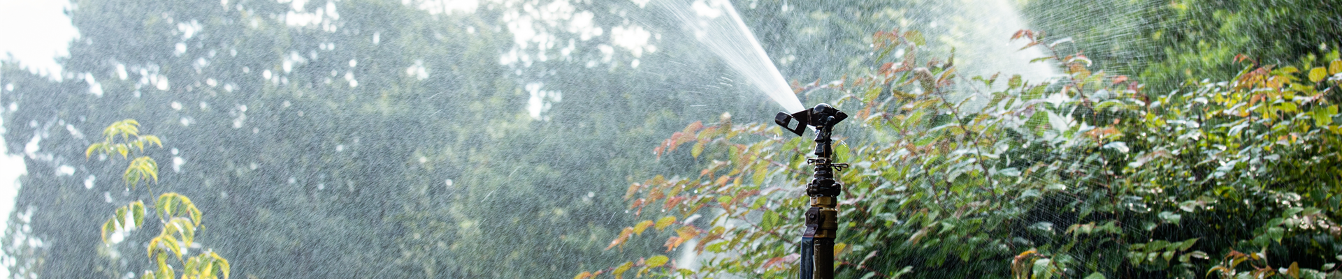 Praxiserprobte Tipps für eine nachhaltige Bewässerung