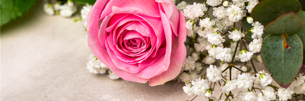 Rosen mit Schleierkraut