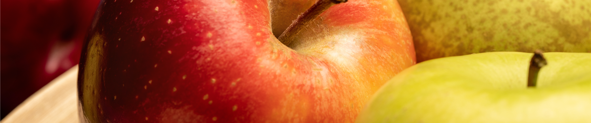 Kern- und Steinobst im eigenen Garten für kleine und große Naschkatzen