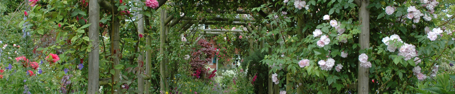 Die richtige Wahl von Rankhilfen für Kletterpflanzen