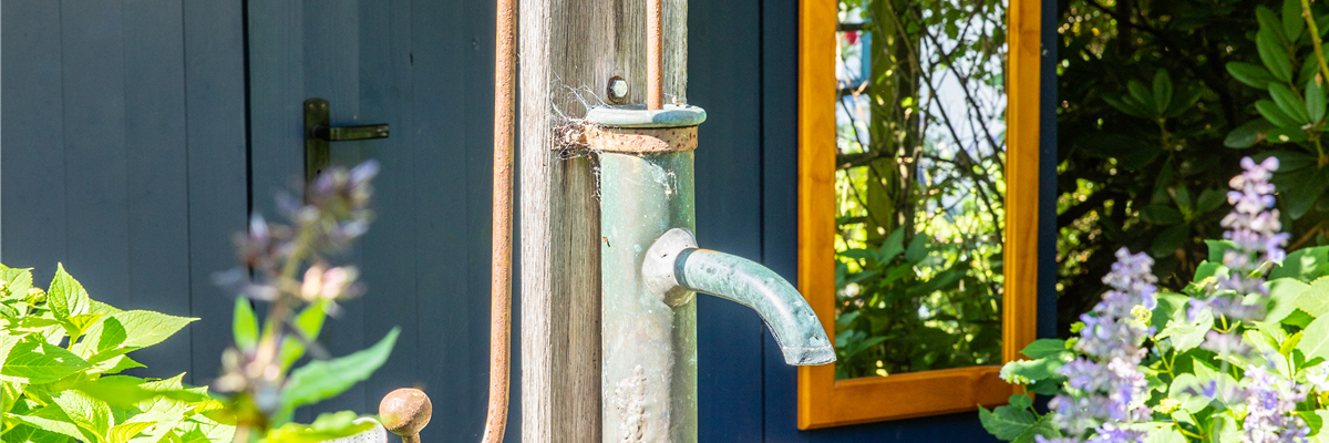 So einfach kann die Gartengestaltung mit Gartenpflanzen sein