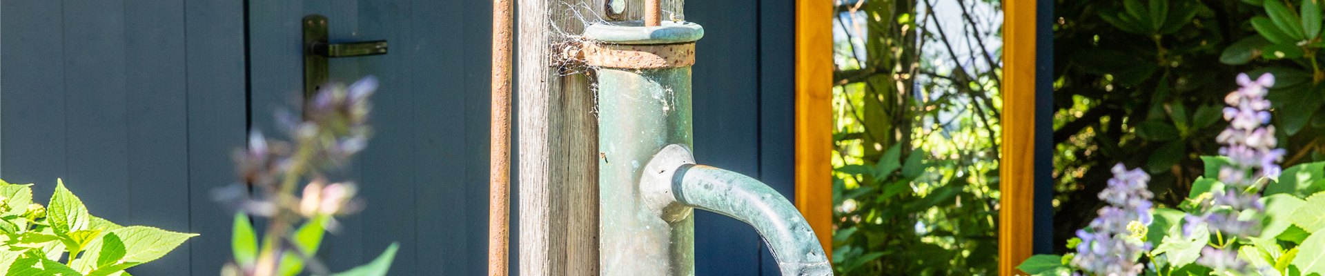 So einfach kann die Gartengestaltung mit Gartenpflanzen sein