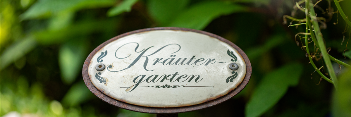 Ernte ohne Garten - Im duftenden Kräutergarten auf dem Balkon