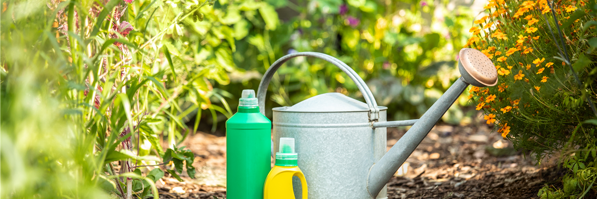 Pflanzen düngen für reiche Ernte und Blütenpracht