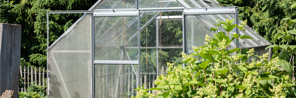 Ob groß oder klein: Gewächshäuser bereichern jeden Garten