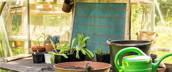 Ob groß oder klein: Gewächshäuser bereichern jeden Garten