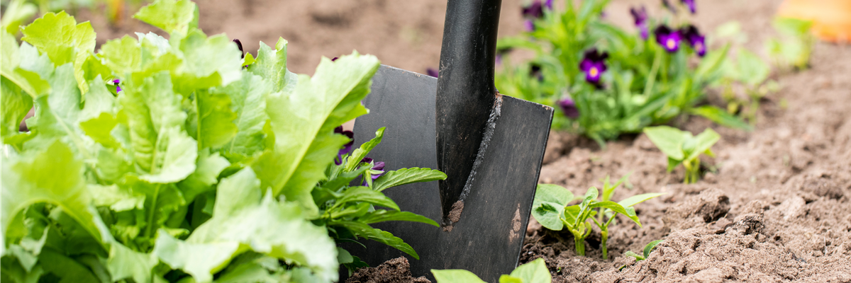 Hilfreiches und praktisches Zubehör zum Gärtnern