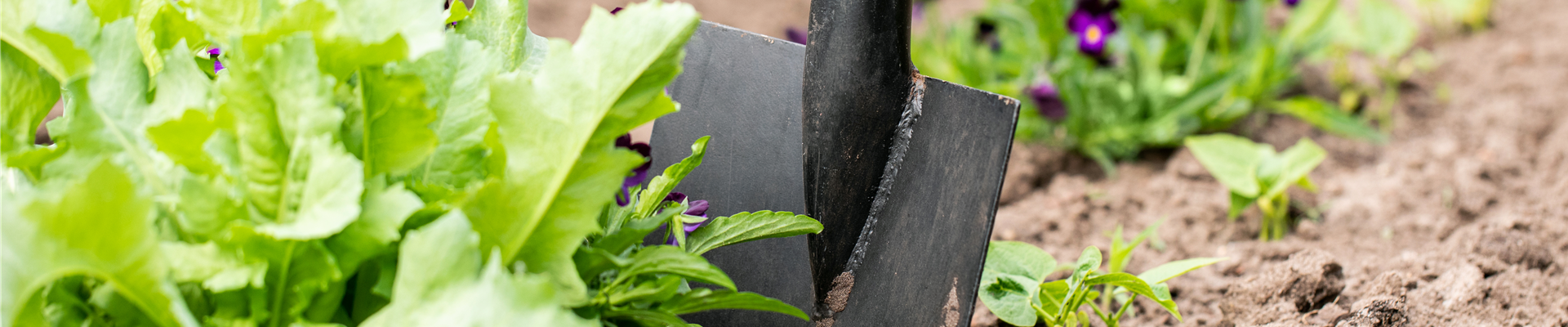 Hilfreiches und praktisches Zubehör zum Gärtnern