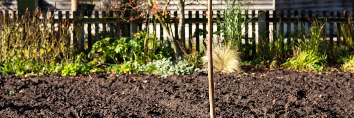 Spaten steckt in Erde
