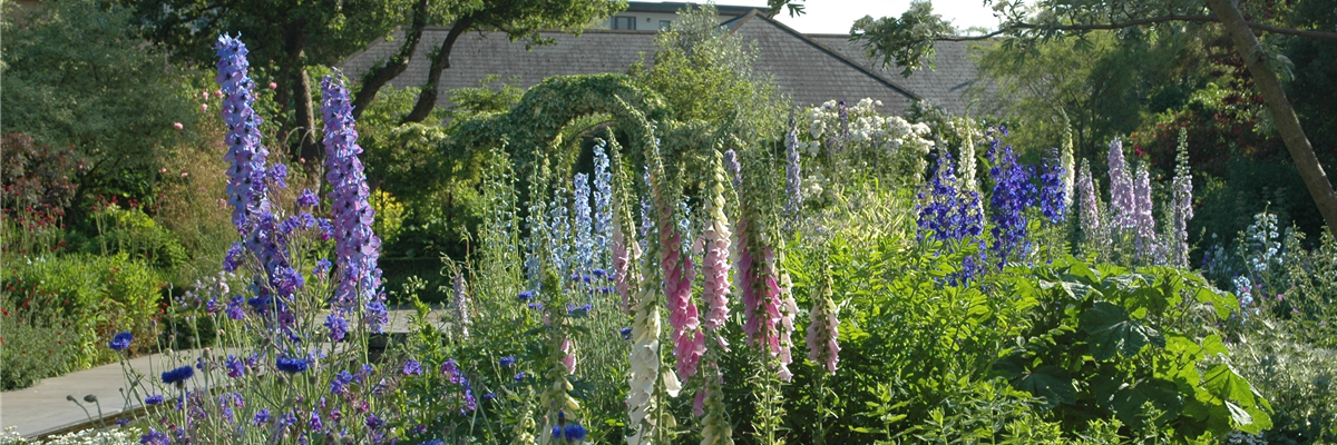 Jetzt ist es wieder soweit: Die Gartengestaltung mit Stauden