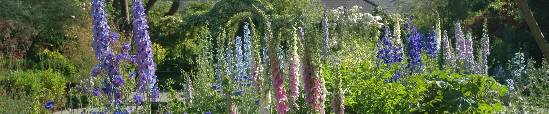 Jetzt ist es wieder soweit: Die Gartengestaltung mit Stauden