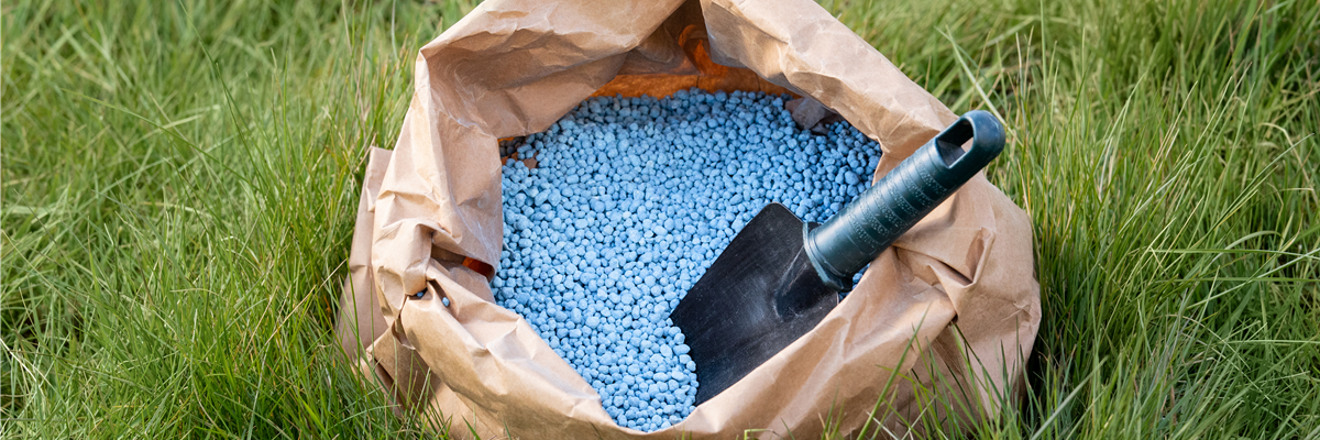 Düngen im Herbst - Kraftvoll in die kalte Jahreszeit