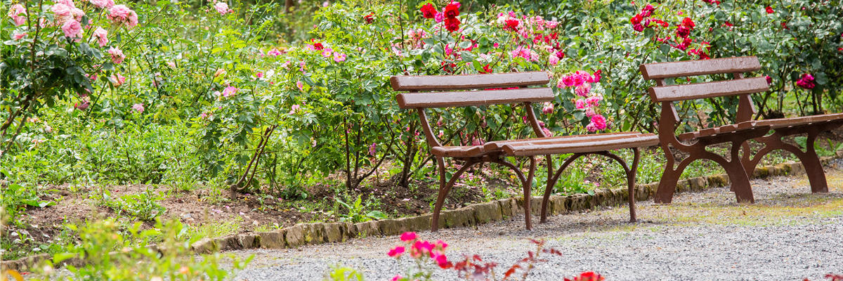 Ambiente im Rosengarten