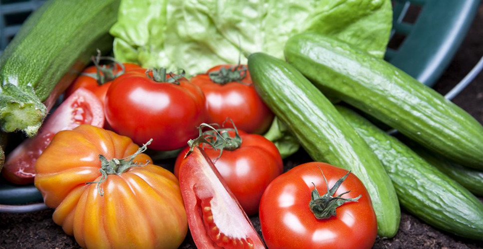 ALLES FÜR DEN BAUERNGARTEN