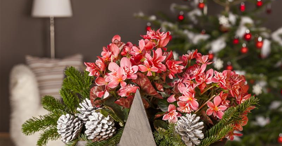 Fiedlers Garten & Hobbyland aus Gera