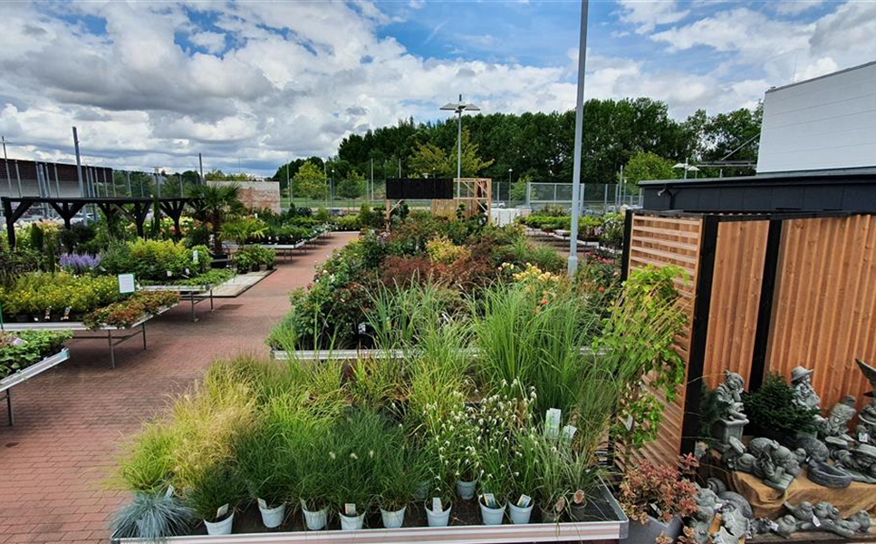 Baumschule - Riesen Vielfalt