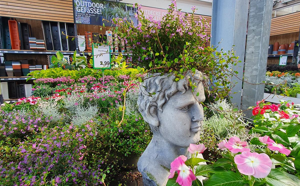 Beet & Balkon - Für die schönste Jahreszeit!