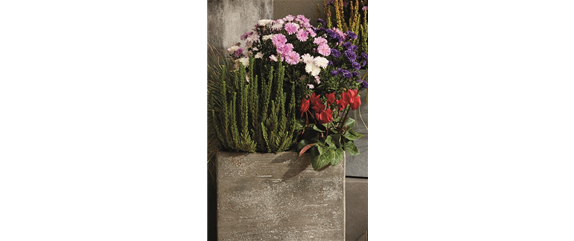 EIN KUNTERBUNTER HERBST! EIN KUNTERBUNTER HERBST!