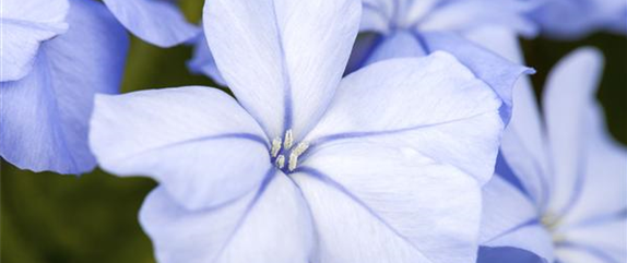 EIN KUNTERBUNTER HERBST! EIN KUNTERBUNTER HERBST!