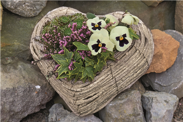 DAS GRAB IM HERBST! DAS GRAB IM HERBST!